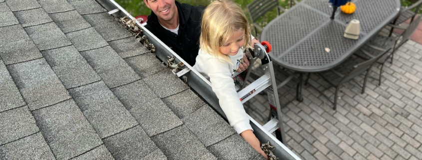 gutter cleaning